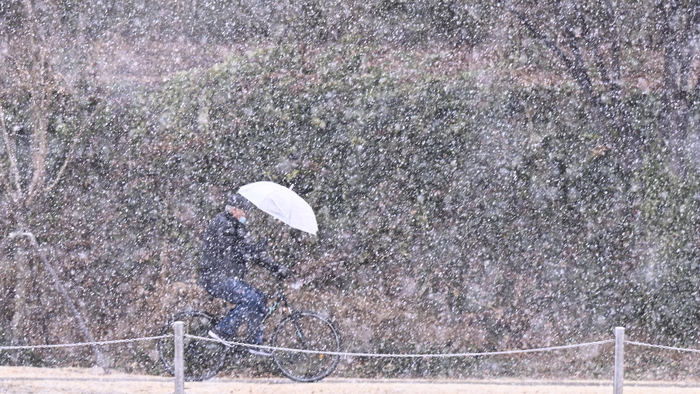 진눈깨비가 내린 24일 대구 신천 자전거도로에서 한 시민이 우산을 쓴 채 자전거를 타고 지나가고 있다. 대구지방기상청은 당분간 흐린 가운데 종종 비가 내리는 날씨가 이어질 것으로 예보했다.
이현덕기자 lhd@yeongnam.com 