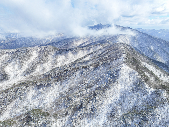 [포토뉴스] 봄 문턱에서 펼쳐진 팔공산 설경