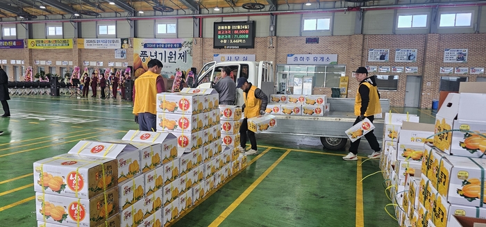 25일 성주참외원예농협 풍년기원제가 열린 가운데 지역 한 농가가 경매를 받기 위해 참외를 진열하고 있다. 석현철 기자