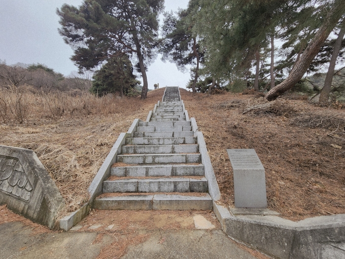 예천군 보문면 수계리에 있는 의병장 장윤덕 선생 묘소로 향하는 계단. <장석원 기자>