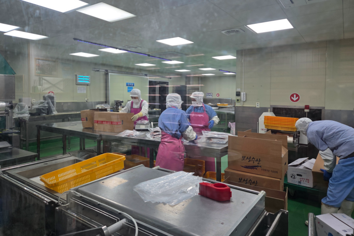 과메기 등을 생산하는 가공업체 보성수산의 내부 작업 모습. 전준혁기자