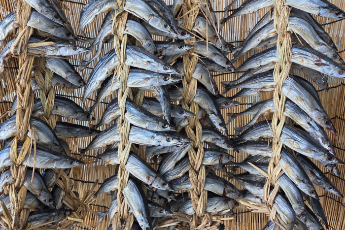 구룡포과메기문화관에서 판매 중인 통마리과메기. 전준혁기자