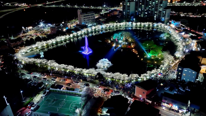 벚꽃시즌의 화려한 연화지 야경. 김천시 제공