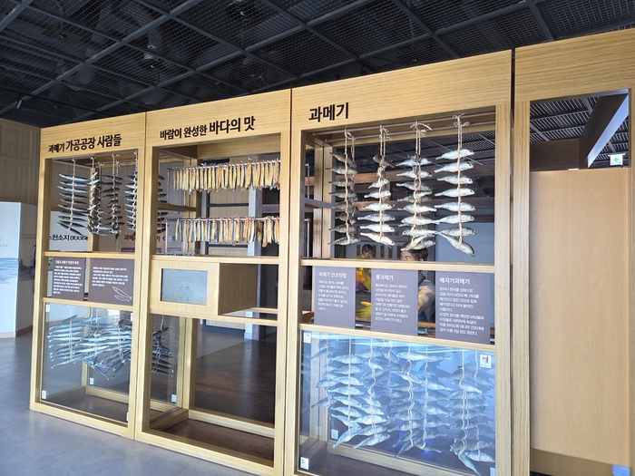과메기문화관 내부에 있는 과메기 홍보 전시물. <전준혁기자>