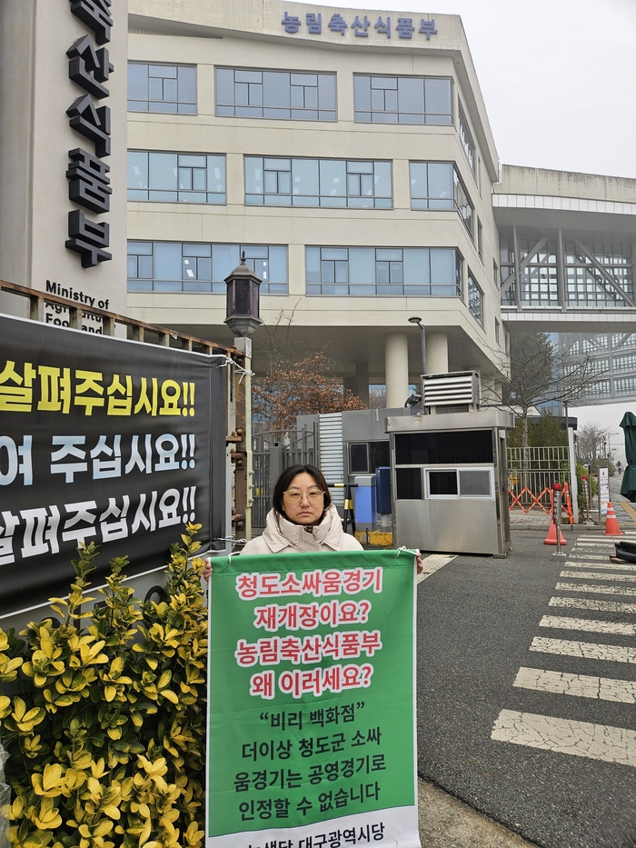 대구녹색당 당직자가 세종 정부청사 앞에서 청도 소싸움경기 개장 반대 1인 시위를 하고 있다. <대구녹색당 제공>