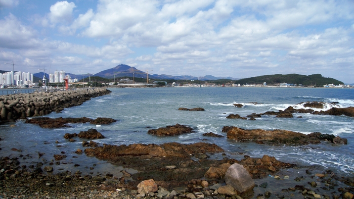외항은 갯바위로 가득하다. 학리는 국내에서 처음으로 미역과 다시마의 종묘 생산과 양식에 성공한 곳이고 지금도 일대 바다는 온통 미역과 다시마 밭이라 한다.