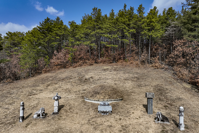 5일 최근 흥행 중인 영화 왕과 사는 남자에서 배우 유해진이 연기한 캐릭터의 실제 인물로 알려진 충의공 엄흥도의 산소가 있는 경북 군위군 산성면 화본리 조림산 기슭의 묘역이 한산한 모습을 보이고 있다. 영화에서는 묘가 강원도 영월에 있는 것으로 소개되고 네이버 지도 검색에서도 영월 묘만 표시되면서 군위 묘역은 상대적으로 덜 알려져 있지만, 2009년 김광순 택민국학연구원장(경북대 명예교수) 연구팀의 연구 결과에 따르면 이곳이 엄흥도의 진묘일 가능성이 매우 높다.
이현덕기자 lhd@yeongnam.com