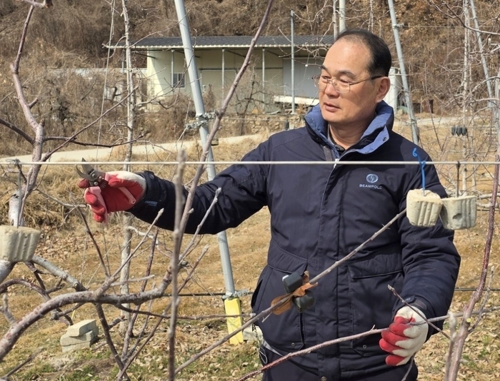 도시에서 직장생활을 하다가 귀농한 탁창덕씨가 자신이 재배하고 있는 사과나무 전지를 하고 있다. 권기웅 기자