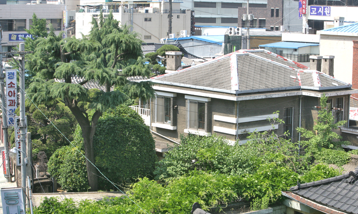 정소아과의원. 군데군데 녹슬고 색 바랜 하늘색 대문 너머 수목으로 울창한 정원이 보이는 벽돌집이다. <영남일보 DB>