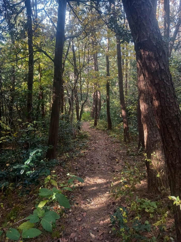 아랫막개 들머리 토박이 강정길. 우도의 명작 옛 오솔길을 이용한 트레킹 로드다.