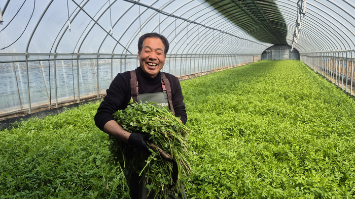 지난 11일 오전 11시 대구 동구 미곡동 자리미농원에서 류태환(61)씨가 갓 수확한 미나리를 들고 환히 웃고 있다. 조윤화 기자