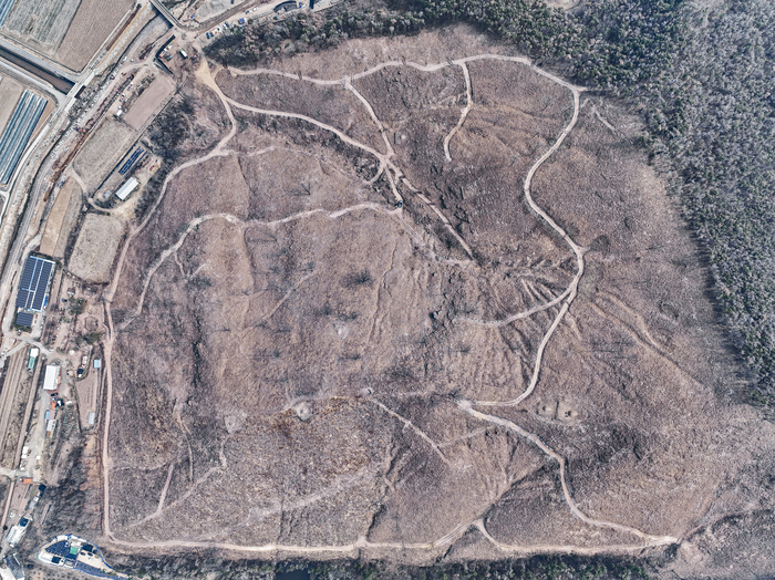 12일 경북 고령군 다산면 일대 야산에서 소나무재선충병 확산을 막기 위한 수종전환 방제로 소나무류가 벌채된 산 능선이 드러나 보이고 있다. 산림청과 경북도, 고령군은 재선충병 집단 발생 지역을 특별방제구역으로 지정해 소나무류를 제거하고 활엽수 중심의 숲으로 전환하는 방제를 추진하고 있으며 대체수목 조림비와 파쇄·대용량 훈증 등 방제비용을 지원하고 있다.
이현덕기자 lhd@yeongnam.com