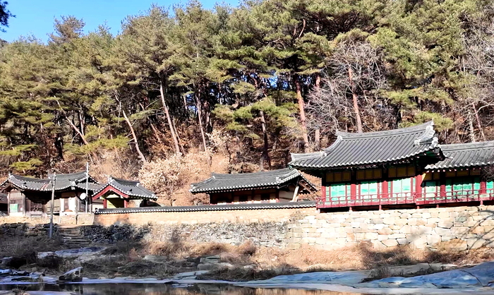 울창한 소나무 숲과 맑은 계류가 어우러진 봉화 석천계곡 전경. 황준오기자