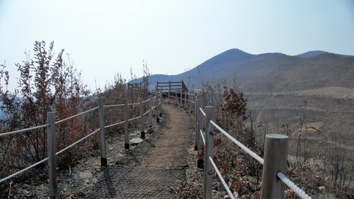 벼랑의 가장 높은 자리에 전망 데크가 있다. 오른쪽이 건지산이다. 산불 이후 복구를 마친 상태다.