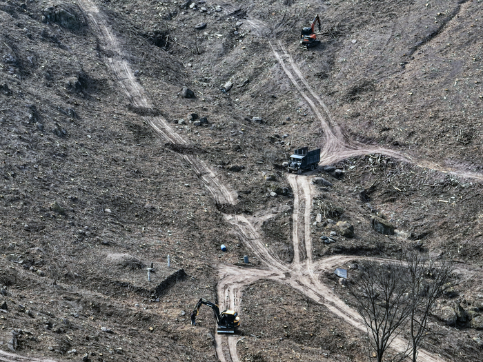 12일 경북 고령군 다산면 일대 야산에서 소나무재선충병 확산을 막기 위한 수종전환 방제가 진행되며 굴삭기와 덤프트럭이 투입돼 소나무류 벌채 작업이 이뤄지고 있다. 산림청과 경북도, 고령군은 재선충병 집단 발생 지역을 특별방제구역으로 지정해 소나무류를 제거하고 활엽수 중심의 숲으로 전환하는 방제를 추진하고 있으며 대체수목 조림비와 파쇄·대용량 훈증 등 방제비용을 지원하고 있다.
이현덕기자 lhd@yeongnam.com