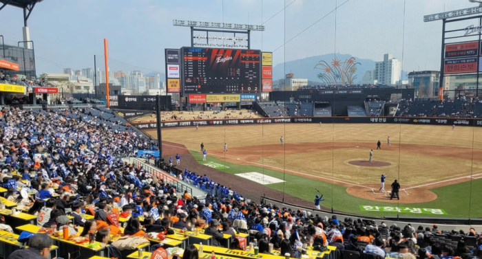삼성과 한화의 프로야구 시범경기가 열린 12일 오후, 대전한화생명볼파크 원정석이 삼성 팬들로 만석을 이루고 있다.<임훈기자 hoony@yeongnam.com>