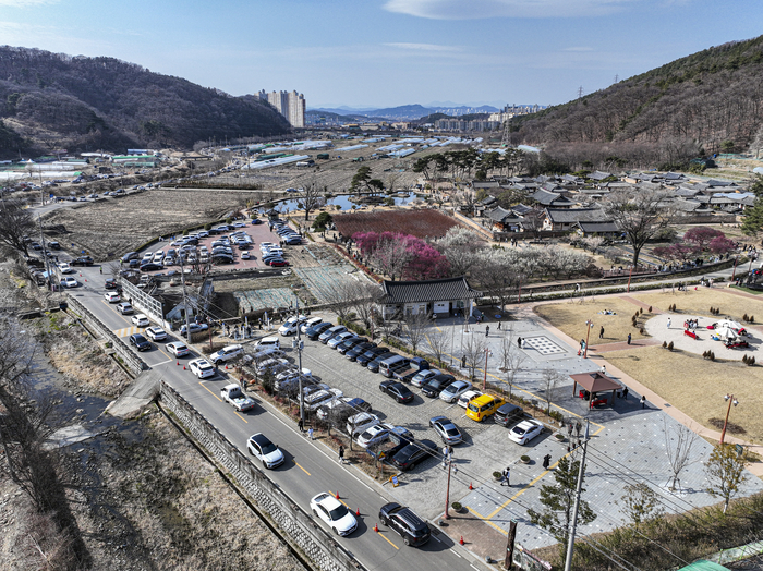 14일 대구 달성군 화원읍 남평문씨본리세거지 일대가 매화를 보러 온 상춘객 차량들로 붐비고 있다. 주말을 맞아 매화를 감상하려는 시민들이 몰리면서 마을 주변 주차장과 인근 도로에는 차량 행렬이 이어졌다.
이현덕기자 lhd@yeongnam.com 