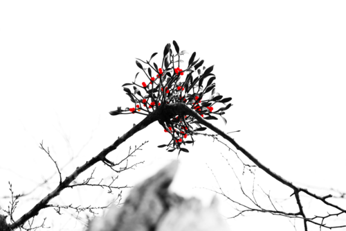 정상기 작. <남명씨앤씨 제공>