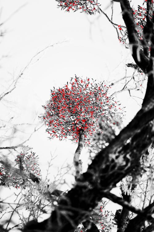 정상기 작. <남명씨앤씨 제공>