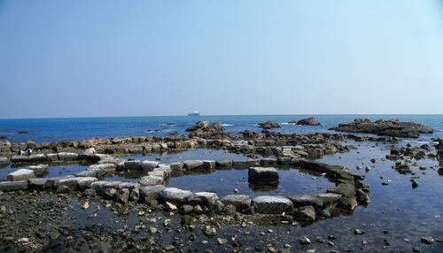 주전마을의 맨손잡이체험장. 이곳에서 고둥이나 성게를 잡을 수 있고 직접 잡은 해산물은 가져갈 수 있다고 한다.