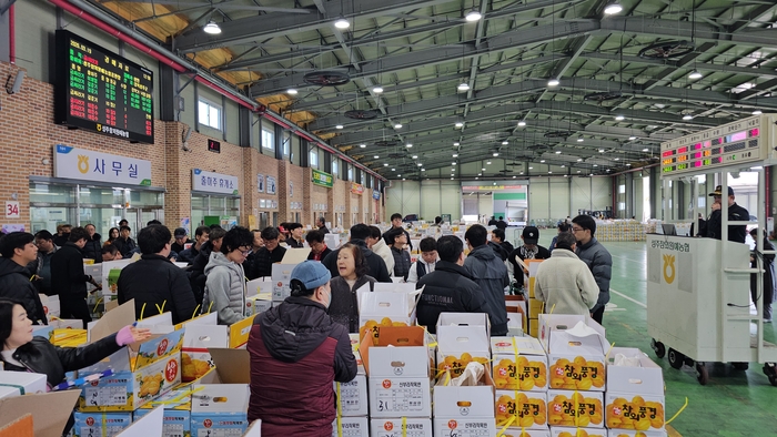 19일 성주참외원예농협 농산물 공판장에서 참외 경매가 한창이다. <석현철 기자>