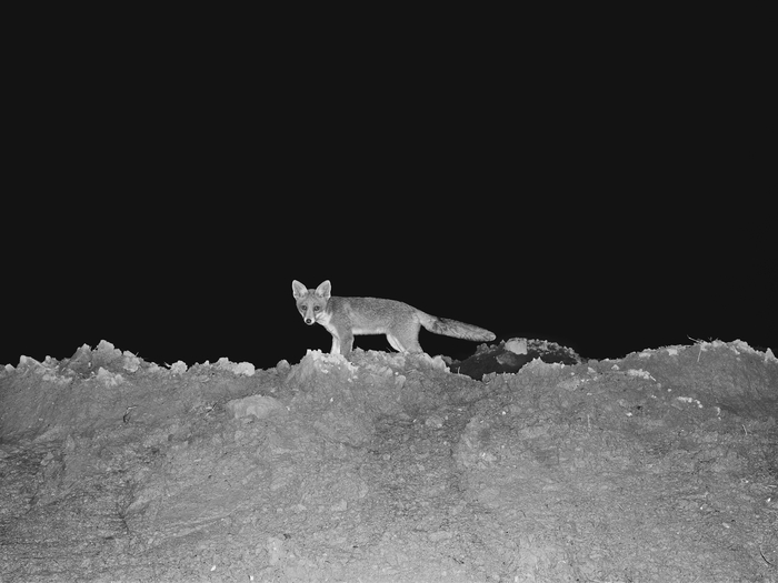 권도연 작. <021갤러리 제공>