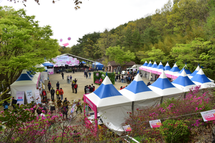 비슬산 참꽃문화제의 프로그램들은 독특하게도 모두 하나의 풍경을 연상시키도록 구성했다. 바로 비슬산 정상에 피어있는 참꽃들이다. <달성문화재단 제공>