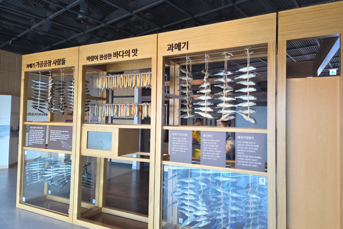 과메기문화관 내부에 있는 과메기 홍보 전시물. 전준혁기자