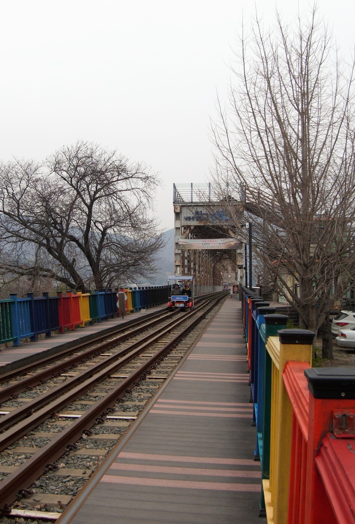 철길 옆에 휘영청 서 있는 고목은 벚나무다. 맞은편의 곧고 높은 나무는 은행나무다. 그 사이로 철길이 낙동강을 건넌다. 그 도하의 첫 걸음 위에 낙동강철교전망대가 올라 있다.