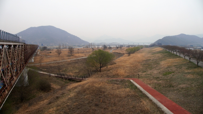 강변의 넓디넓은 수풀은 아직 흙빛이지만 더러 연둣빛이고 푸르러 감동적이다. 둑길의 벚나무는 곧 개화할 것 같고 4월이 중순이면 강변은 노란 유채밭이 된다.