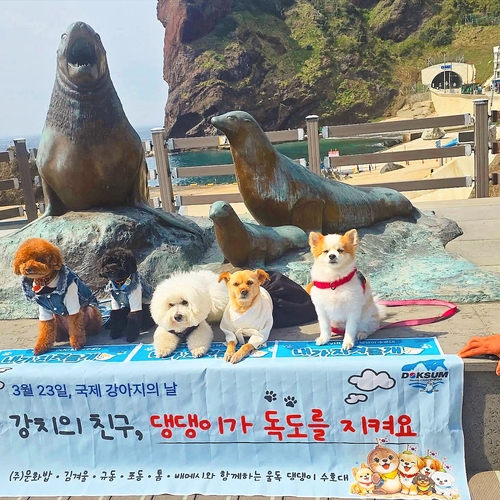 지난 23일 반려견들이 강치 종형물 앞에서 기념 촬영하고 있다. 홍준기 기자
