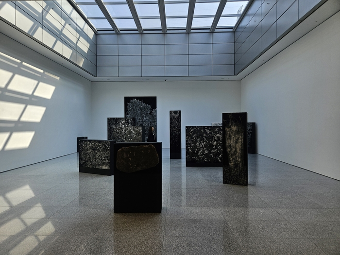 지난 26일 오후 대구미술관 2층에서 한 관람객이 작품을 관람하고 있다. 권혁준기자 hyeokjun@yeongnam.com