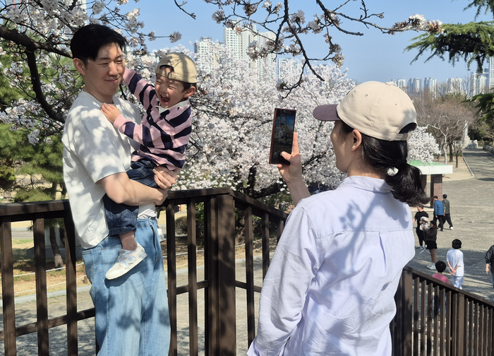 29일 오후 대구 중구 달성공원에서 김진성(38)씨가 아들과 함께 벚꽃을 배경으로 기념사진을 찍고 있다. 조윤화 기자