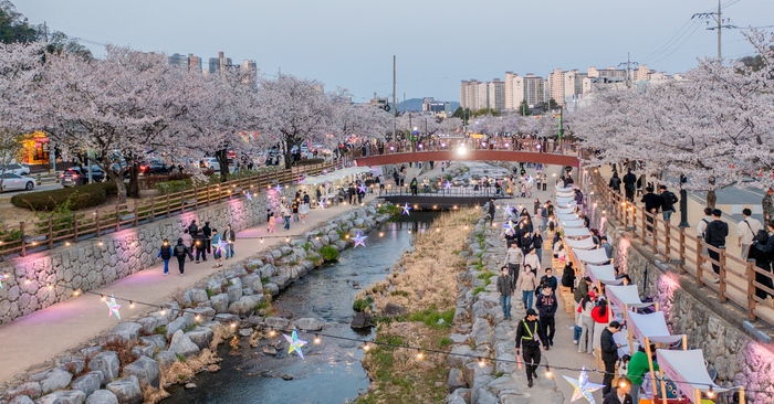 지난해 청춘 금오천 벚꽃페스티벌 기간 금오천 모습<구미시 제공>