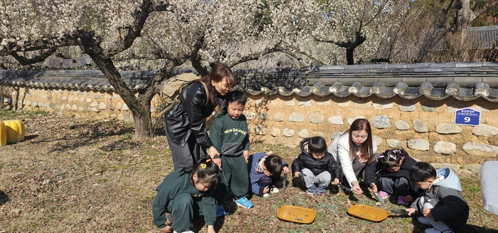 지난달 19일 회원서원을 찾은 지역의 어린이집 원생들이 쑥 채취 체험을 하고 있다. 석현철 기자 shc@yeongnam.com