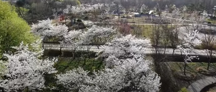 경북천년숲정원. <경북도 제공>