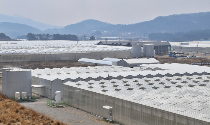 상주 스마트팜 혁신밸리 전경. 상주시는 이곳에서 네 명의 스마트농업관리사를 배출했고 그들을 통해 앞으로 상주의 스마트팜 생태계를 강화할 요량이다.