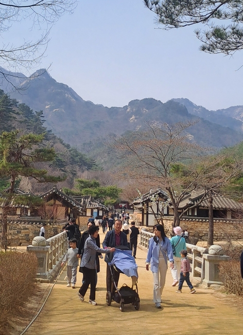 문경새재 오픈세트장 광천골 일대에서 영화 왕과 사는 남자 촬영지를 찾은 관광객들이 전통한옥 담장 사이 흙길을 따라 걸으며 봄날의 정취를 즐기고 있다.<강남진 기자>