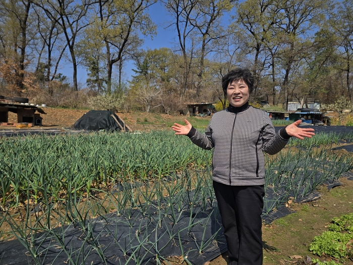 김월주 구미시 진미5통장이 자신의 텃밭을 보여주고 있다. 김 통장은 밭에서 난 나물을 이웃과 나누고 동네 무료 나눔냉장고에 넣어둔다. <박용기 기자>