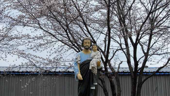 임고성당 주차장에 아기 예수를 안고 있는 성 요셉 상이 있다. 성 요셉과 아기예수의 머리위에 꽃잎이 내려앉은 듯하다.