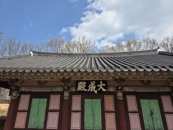 흥해향교 대성전. 뒤로 이팝나무 군락이 보인다.