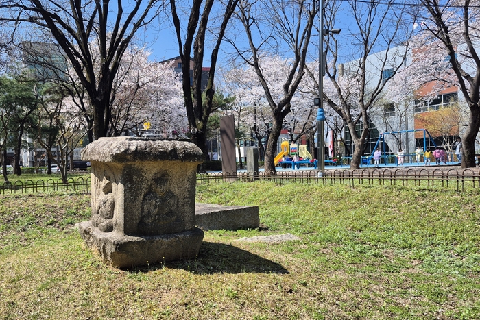경주시청 인근 동천동 어린이공원 잔디밭에 자리한 경상북도 유형문화유산 경주 동천동 사방불탑신석. 벚꽃이 핀 놀이터에서 아이들이 뛰노는 가운데 통일신라 절터의 흔적이 생활공간 속에 남아 있다. 장성재기자 blowpaper@yeongnam.com