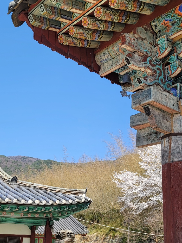 산사의 고요를 깨우는 선석사 처마 아래 풍경