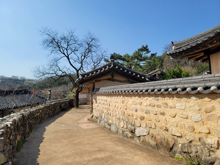 전통마을의 정취를 보여주는 성주 한개마을의 돌담길과 고택
