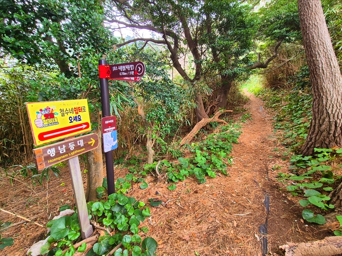 울릉도 저동항에서 행남등대로 가는 오솔길. 홍준기 기자.