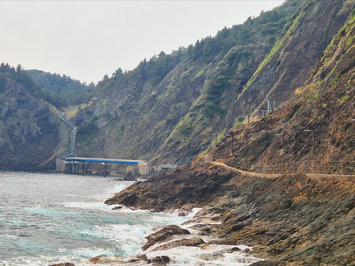 경북 울릉군 울릉읍 저동리에서 행남등대로 이어진 해안 산책로. 홍준기 기자