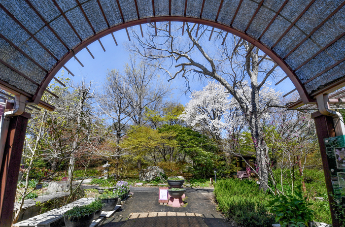 스피링 피버에서 주인공의 데이트 장소로 등장한 기청산식물원. 식물을 사랑하는 한 개인이 일군 정원으로 2천여 종의 토종 식물과 포항 및 울릉도 일대에 자생하는 수많은 희귀식물들이 산다.