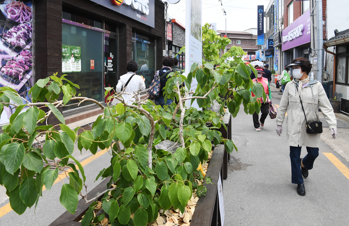 올해 영양산나물축제는 행사장 공간과 동선을 조정해 방문객들을 분산하고 체험프로그램을 확대한다. 또 른 지역 축제와 달리 읍내 민가들이 모여 있는 영역에서 벌어지기 때문에 사람 냄새를 느낄 수 있는 정감 있는 축제다.
