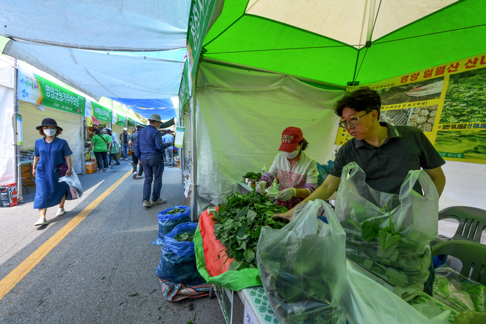 지난해 영양산나물축제는 산나물이 곁들임 음식 대접받는 주객전도 현상이 문제점으로 지적됐다. 이에 올해는 산나물을 소재로 한 새로운 요리와 한 차원 높아진 음식을 선보이는 산촌 미식로드를 운영한다.
