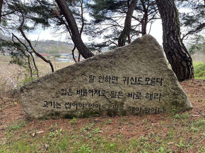 예천군 지보면 대죽리에 있는 말무덤 주변 돌에는 짧은 문장이 새겨져 있어 방문객으로 하여금 자연스럽게 자신의 기억과 감정을 투영하게 만든다. <장석원기자>